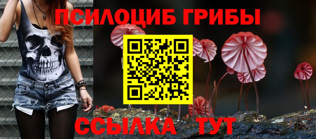 Псилоцибиновые грибы Cubensis Оренбург